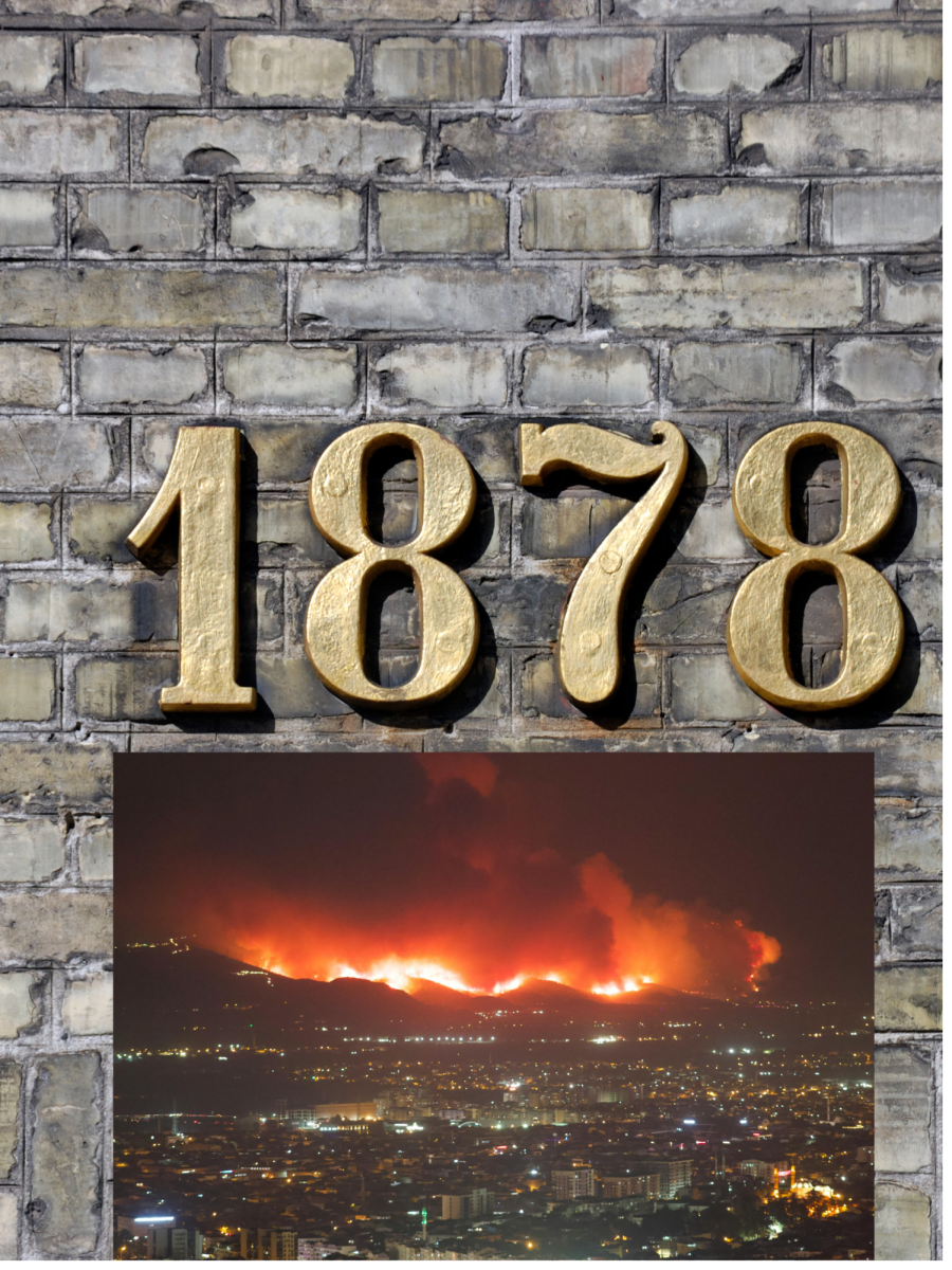 The Impacts of the Yellow Fever of 1878