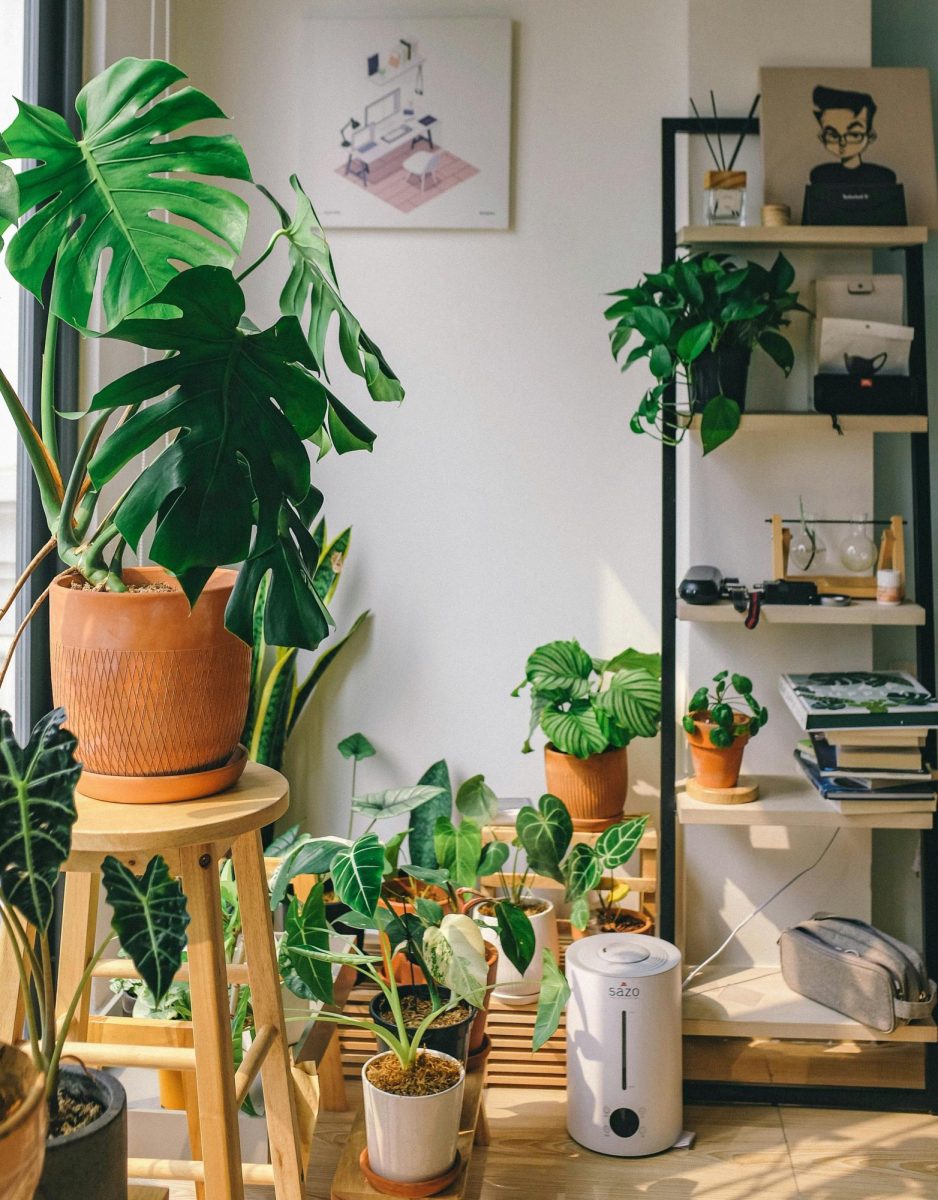Positive Effects of Growing Plants